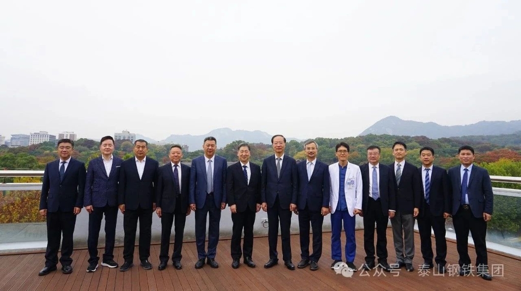 韓金峰調研泰山鋼鐵集團海外項目發展情況
